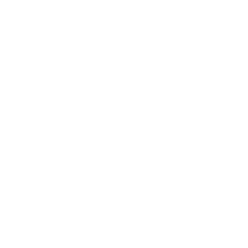 Bradley Martin